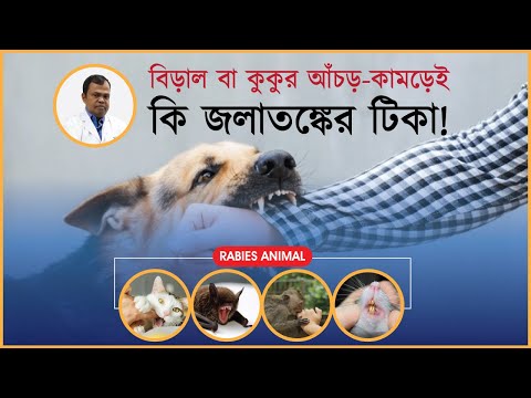 বিড়াল-কুকুরের আঁচড় বা কামড় লাগলেই কি জলাতঙ্কের টিকা নিতে হবে? | Dr. Shahjahan Nazir | Rabies