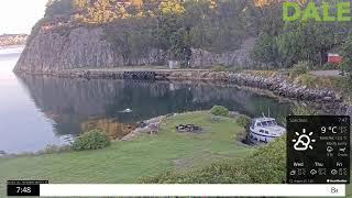 Dale live webcam
