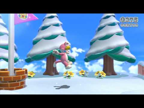 Super Mario 3D World 6-5 Speedrun (25)
