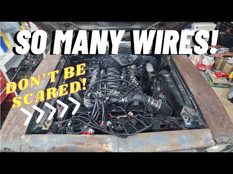 LS Swap Wiring Made Simple!