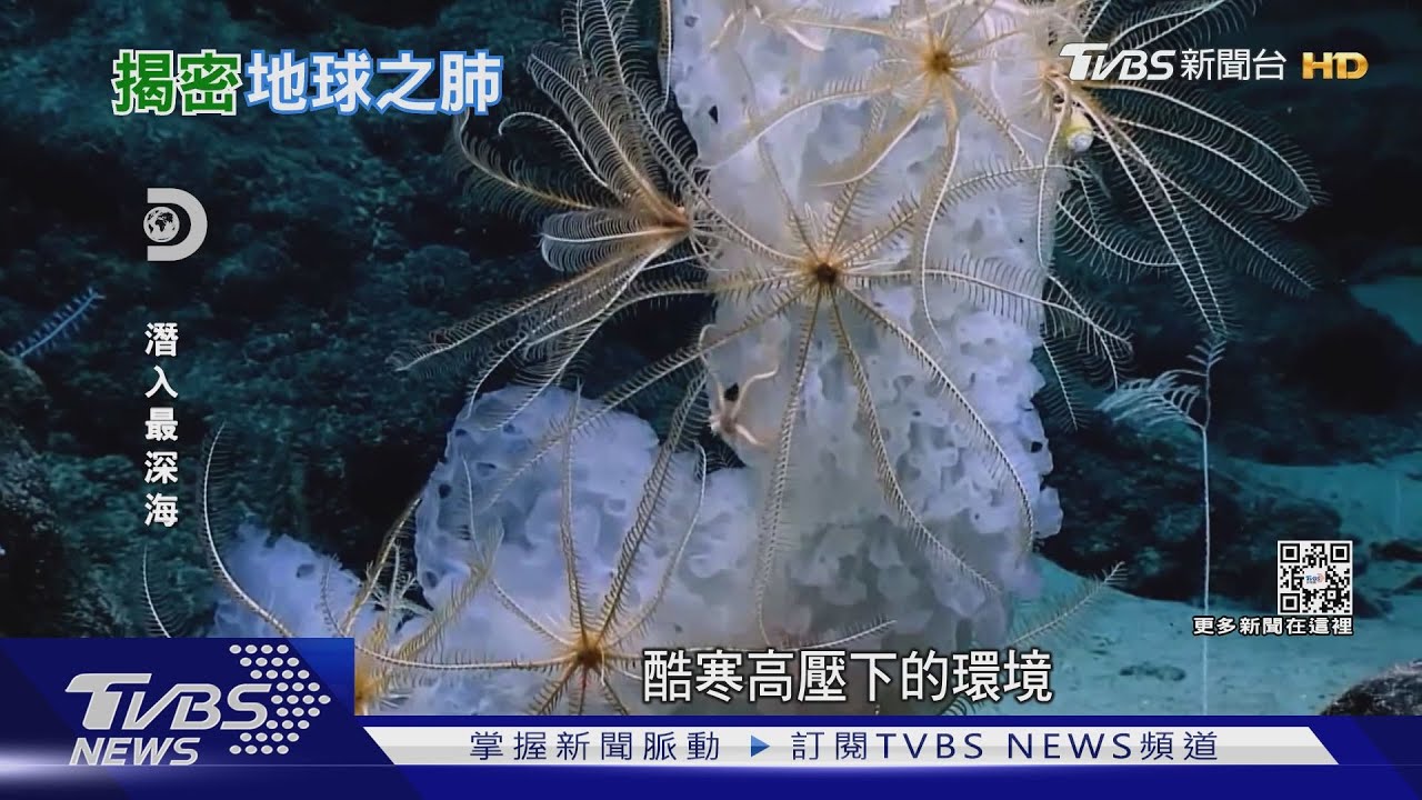 南冰洋深溝現「水下月球」 揭全球洋流命脈之謎