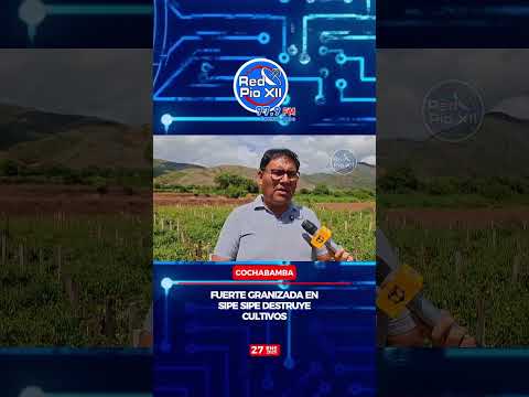 Fuerte granizada en Sipe Sipe destruye cultivos #noticias