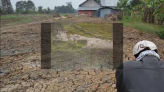 Doa Sepasang Petani Muda Ebiet G Ade