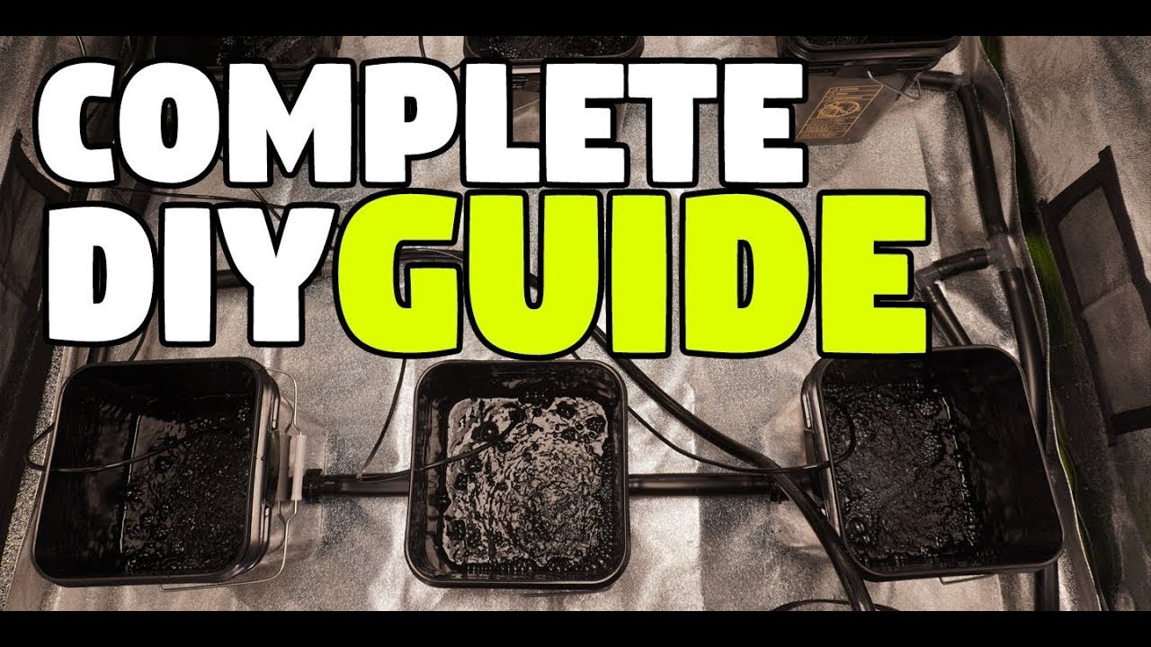 How To Build A 6 Plant RDWC System 30 Gal  Recirculating Hydroponics