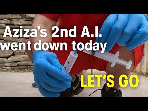 🚨 AZIZA’S 2nd A.I. WENT DOWN TODAY! 💥 LET’S GO! 💎 | DiamondGangBullies @goldenchildexotics 