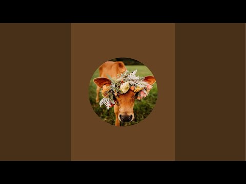 Blaze 600d barn heater update!