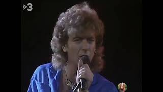 Robert Plant - Big Log, 1985
