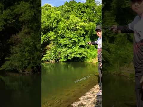 Trickwürfe mit Baitcastern #angeln #baitcaster