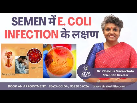 Semen Infection || Semen में E. coli infection के लक्षण || Dr Chekuri Suvarchala || ZIVA Fertility