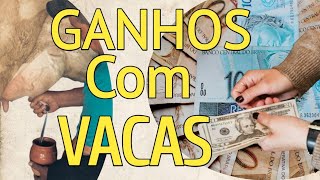 Lucro GARANTIDO com VACA leiteira