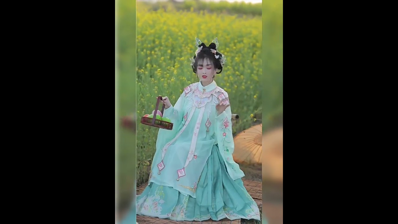 Chinese Hanfu Adult Female Embroidered Elegant Style Complete Set #hanfu #china #beautiful #clothes