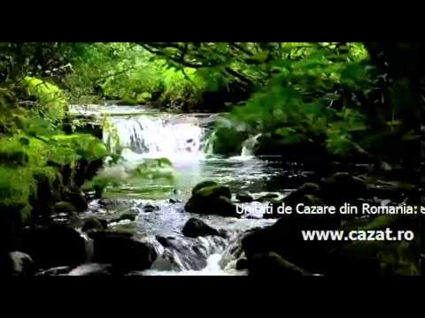 Cazare Vinetisu, Buzau - Cazat.ro