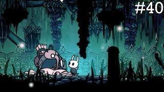 Hollow Knight Episode 40 | Queen's Gardens
