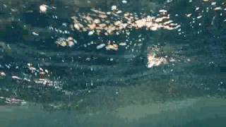 six feet under drowning