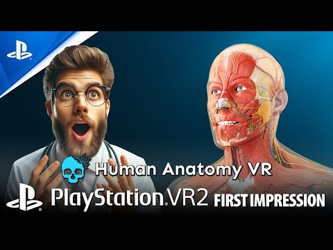 A Mind-Blowing Journey with Human Anatomy VR on PlayStation VR2 - YouTube