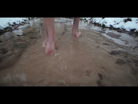 Medonas - Toks ne vienas