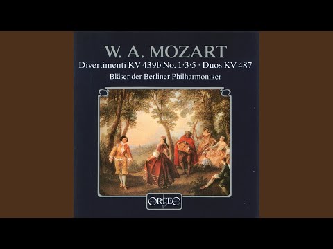 12 Duos, K. 487: No. 10. Andante