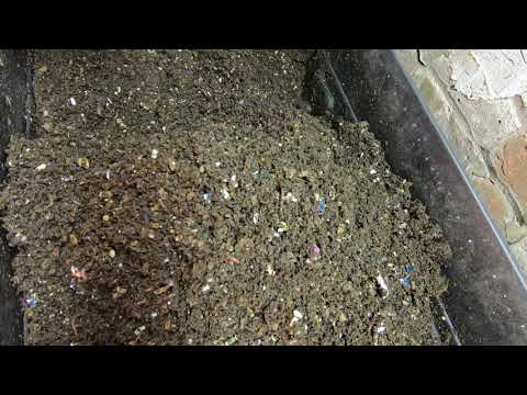 DIY 2 Layer Stacked Compost Worm Bin-Refresh - Massive worm ball