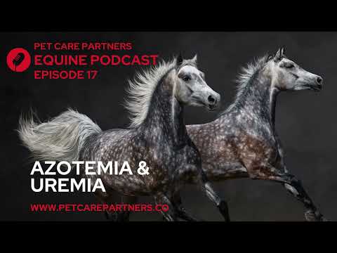 EP 17: Azotemia & Uremia in Horses: What Every Vet and Owner Must Know! | Pet Care Partners