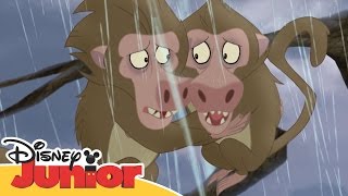 Magical Moments | The Lion Guard: Baboons | @disneykids