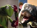 It S A Very Merry Muppet Christmas Movie Triumph The Comic Dog Insults Kermit NTSC Pitch 60fps