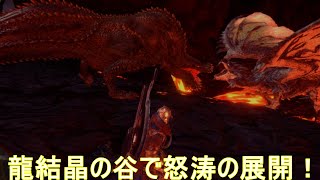 【MHWI PC のんびり実況プレイ#8】龍結晶の地でカエルとイビルジョーに遭遇