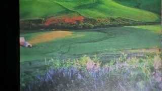 THE BEST THING  THAT EVER HAPPENED TO ME STEVE LAWRENCE COVER  BY VICTORINO912