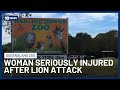 Woman Seriously Injured After Lion Attack at Queensland’s Darling Downs Zoo | 10 News
