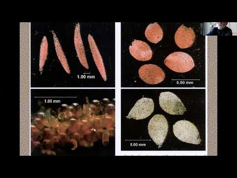 Cahaba River Biodiversity with Dr. Randy Haddock