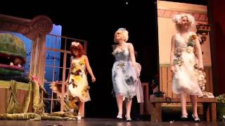 Finale (Don't Feed the Plants)