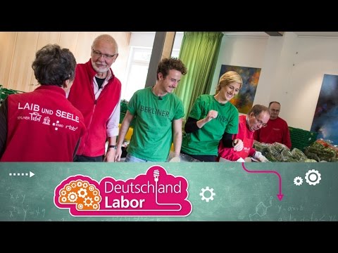 Learn German (A2) | The Germany Lab | Episode 12: Money