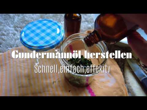 Gundermannöl herstellen - Schnell, einfach, effektiv