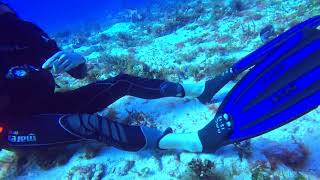 Cozumel 2023, Day 3, Dive 1, Part 3