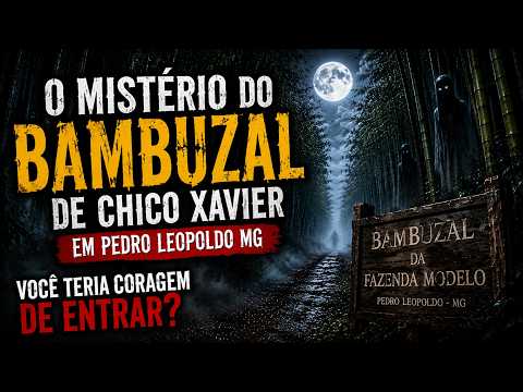 O Mistério do Bambuzal de Chico Xavier em Pedro Leopoldo MG