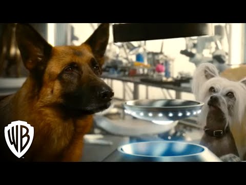 Cats & Dogs: The Revenge of Kitty Galore trailer