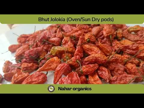 Oven dry bhoot jolokia chilli, loose