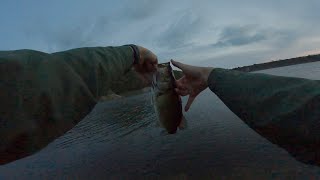 Un japonés pesca con un spinner bait #mexico #fishing #blackbass #lobina #ブラックバス