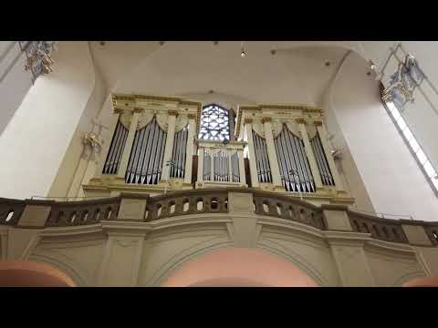 Katedrála svatých Petra a Pavla - Petrov - Brno e varhaní hudba
