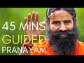 45 Minutes Guided Pranayam With Timer Swami Ramdev Baba