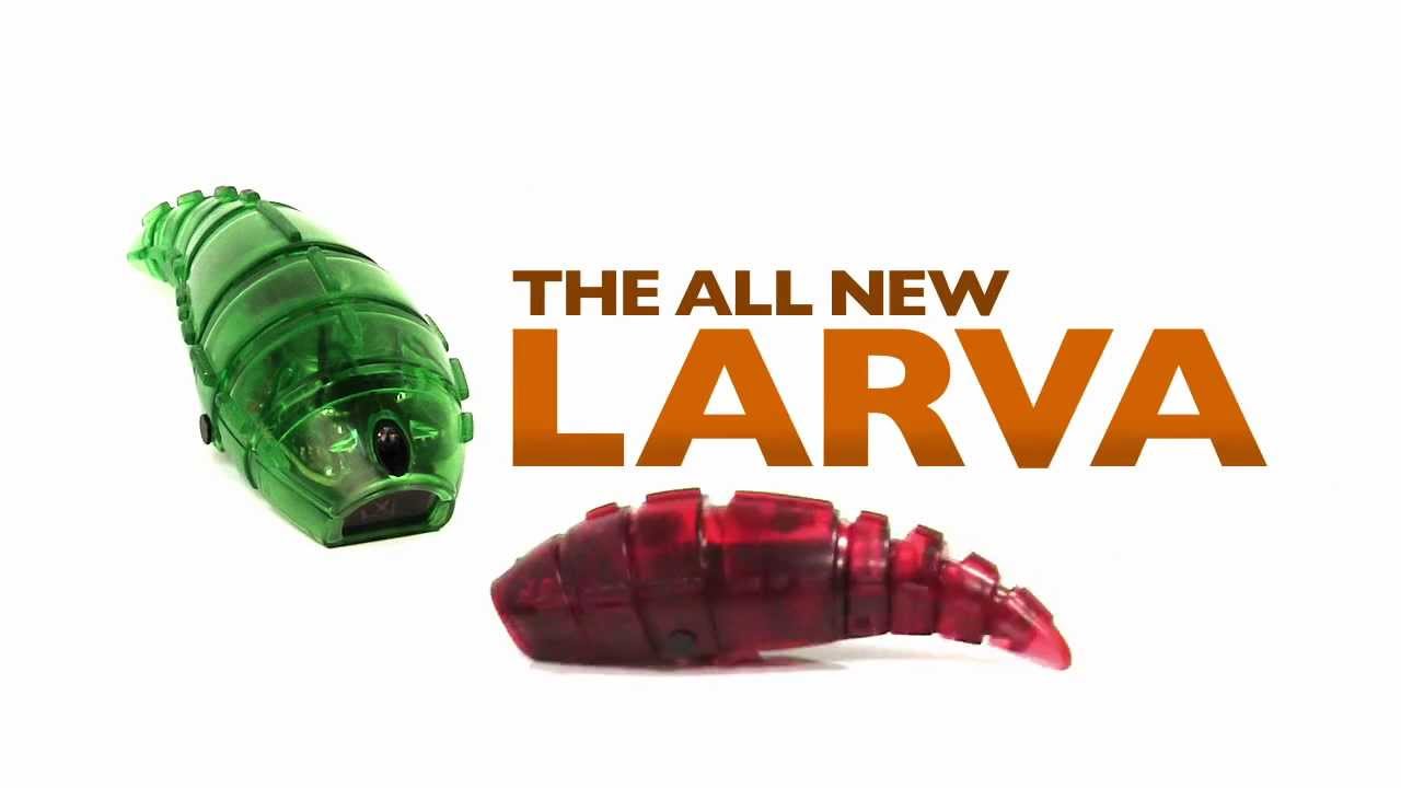 HEXBUG Larva