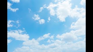 数年脳を使ってなかったおじさんによるウミガメのスープ。
