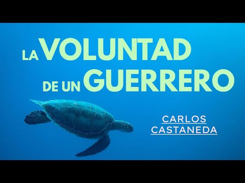 Be flexible, but with an iron will | C. Castaneda