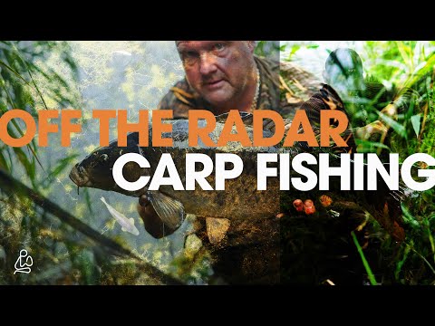Fishing for Big Carp Where We Shouldn’t!