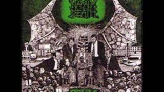Napalm Death- Polluted Minds