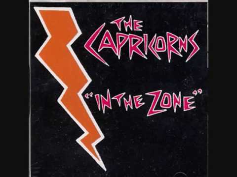 Song of the Day 1-20-10: The New Sound by The Capricorns