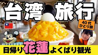 台湾旅行【日帰り花蓮】花蓮のディ◯ニーランド⁉️行き方解説付き‼️夜市・グルメ・観光地つめこみよくばり旅‼️2026年4月 #台湾旅行 #花蓮