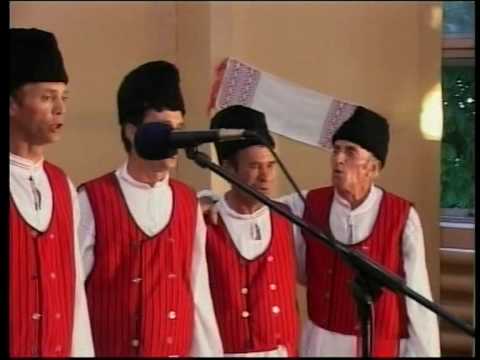 Zarzarica 2009 - Ansamblul Spicul din Luciu