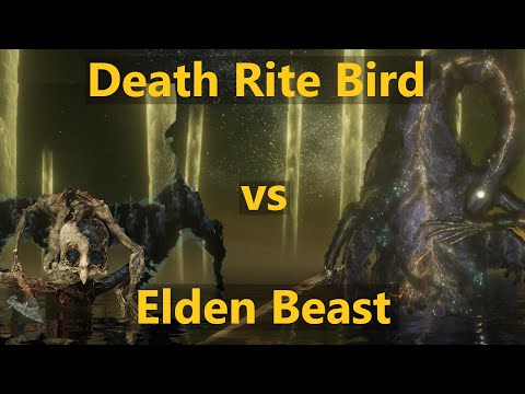 Death Rite Bird vs Elden Beast