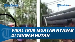 Kejadian Misterius, Truk Muatan Paku Bumi Nyasar di Hutan, Sopir Ngaku Dikawal Cewek Jam 2 Malam