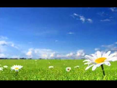 Upalne latoo ( Rasta & MTD& Maniek )